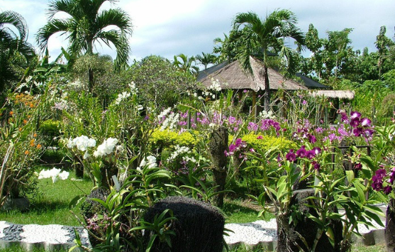 巴厘岛 Pura Puncak Penulisan寺