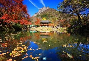 韩国 红叶 寺庙 包车一日游