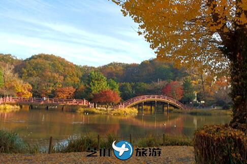 日本横滨赏秋胜地 称名寺