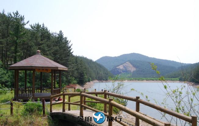 韩国国立希里山海松自然休养林
