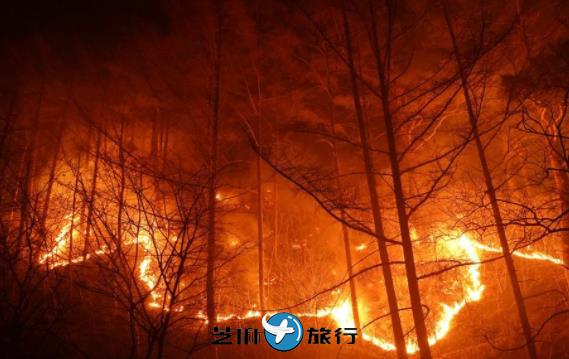 韩国东部地区山火过火面积逾1.6万公顷