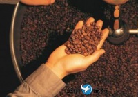 韩国2021年咖啡进口额逾9亿美元创新高