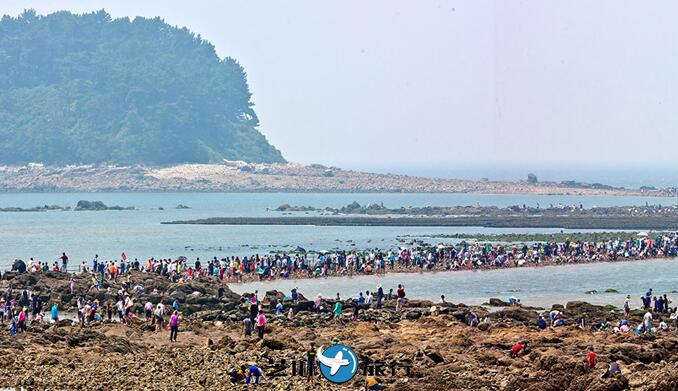 韩国夏季旅游 韩国忠清南道保宁市武昌浦海水浴场