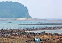 韩国夏季旅游 韩国忠清南道保宁市武昌浦海水浴场